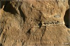 White Mountain Petroglyphs