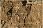 White Mountain Petroglyphs