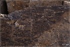 Red Rock Petroglyphs