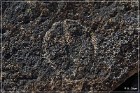 Red Rock Petroglyphs