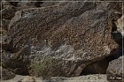 Red Rock Petroglyphs