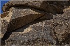 Red Rock Petroglyphs