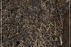 Red Rock Petroglyphs