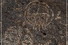 Red Rock Petroglyphs