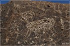 Red Rock Petroglyphs