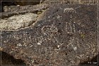 Red Rock Petroglyphs
