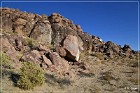 Bishop Petroglyph Site