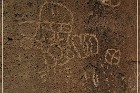 Bishop Petroglyph Site