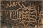 Bishop Petroglyph Site