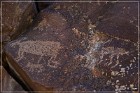 Black Canyon Petroglyphs