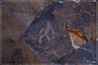 Black Canyon Petroglyphs