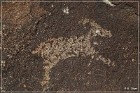 Black Canyon Petroglyphs