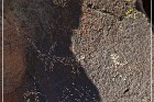 Black Canyon Petroglyphs