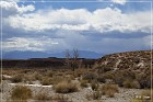 Chalfant Valley Petroglyphs