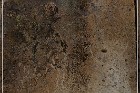Chalfant Valley Petroglyphs
