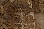 Chalfant Valley Petroglyphs