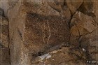 Chalfant Valley Petroglyphs