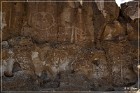 Chalfant Valley Petroglyphs