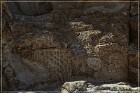 Chalfant Valley Petroglyphs
