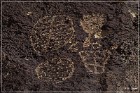 Chidago Petroglyphs