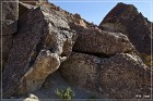 Chidago Petroglyphs