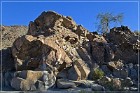 corn springs petroglyphs 03