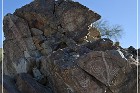 corn springs petroglyphs 05