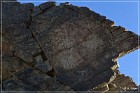 corn springs petroglyphs 07
