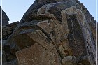 Corn Springs Petroglyphs