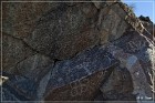 Corn Springs Petroglyphs