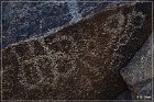 Corn Springs Petroglyphs