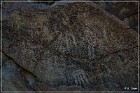 Corn Springs Petroglyphs