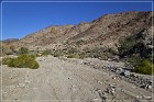 Corn Springs Petroglyphs