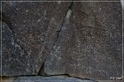 Corn Springs Petroglyphs