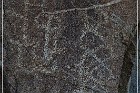 Corn Springs Petroglyphs