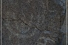 Corn Springs Petroglyphs