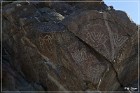 Corn Springs Petroglyphs