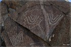 Corn Springs Petroglyphs