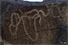 Corn Springs Petroglyphs