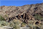 Corn Springs Petroglyphs