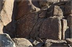 Corn Springs Petroglyphs