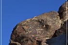 Corn Springs Petroglyphs