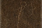 Corn Springs Petroglyphs