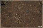 Corn Springs Petroglyphs