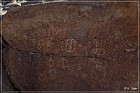 Corn Springs Petroglyphs