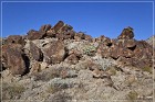 Corn Springs Petroglyphs