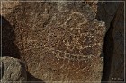 Corn Springs Petroglyphs