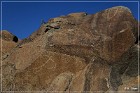 Corn Springs Petroglyphs