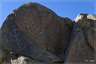 Corn Springs Petroglyphs