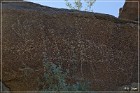 Corn Springs Petroglyphs